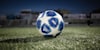 Chelsea Football Club Crest